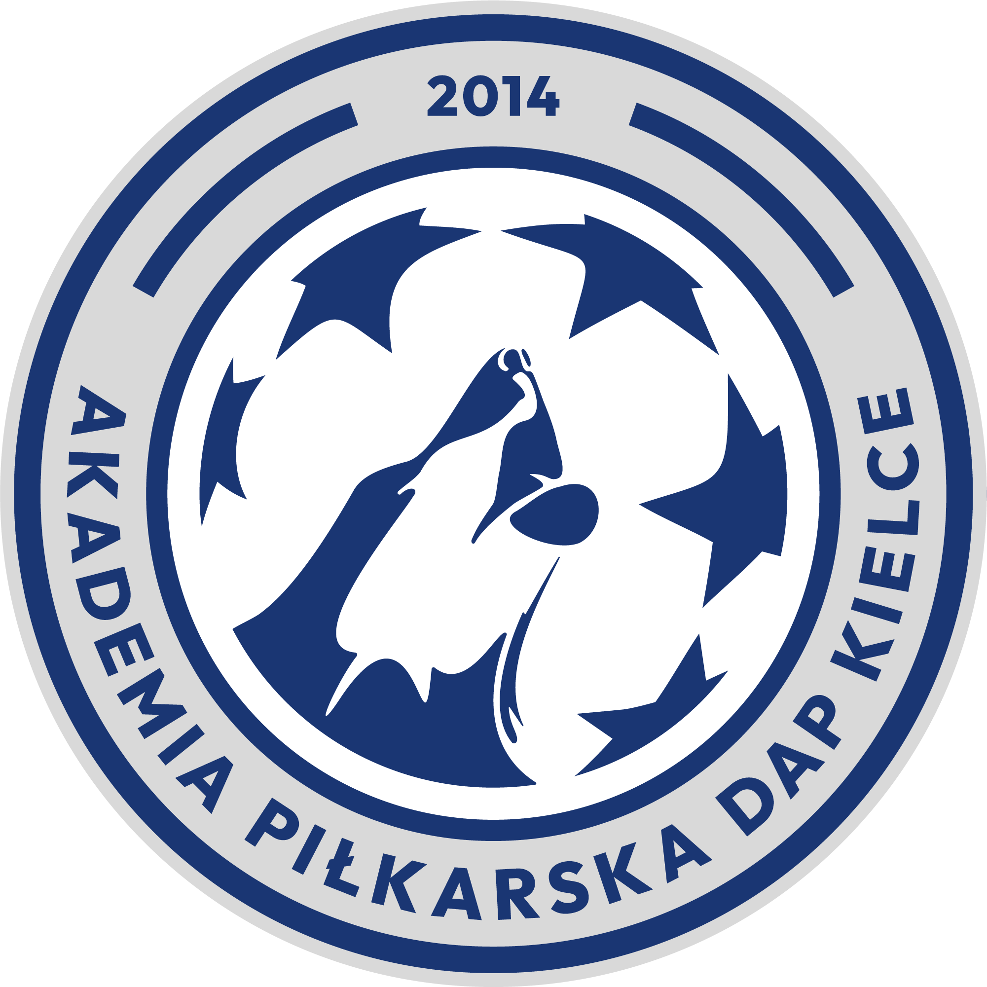 Akademia Piłkarska DAP Kielce - szkólka piłkarska dla dzieci